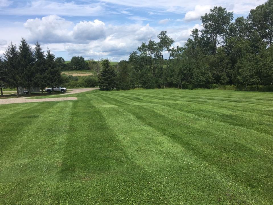 A Large Recently Neatly Mowed Lawn