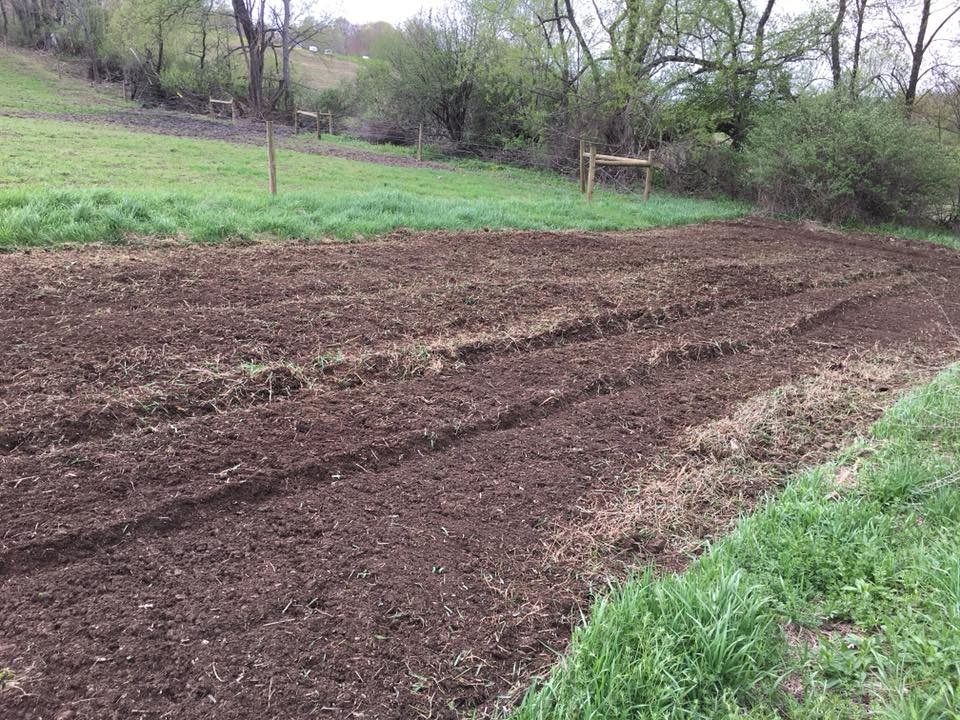 Rototilled Food or Garden Plot